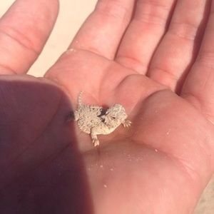 Meet your Posher, Addy